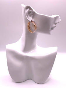3 TONE HOOP ER