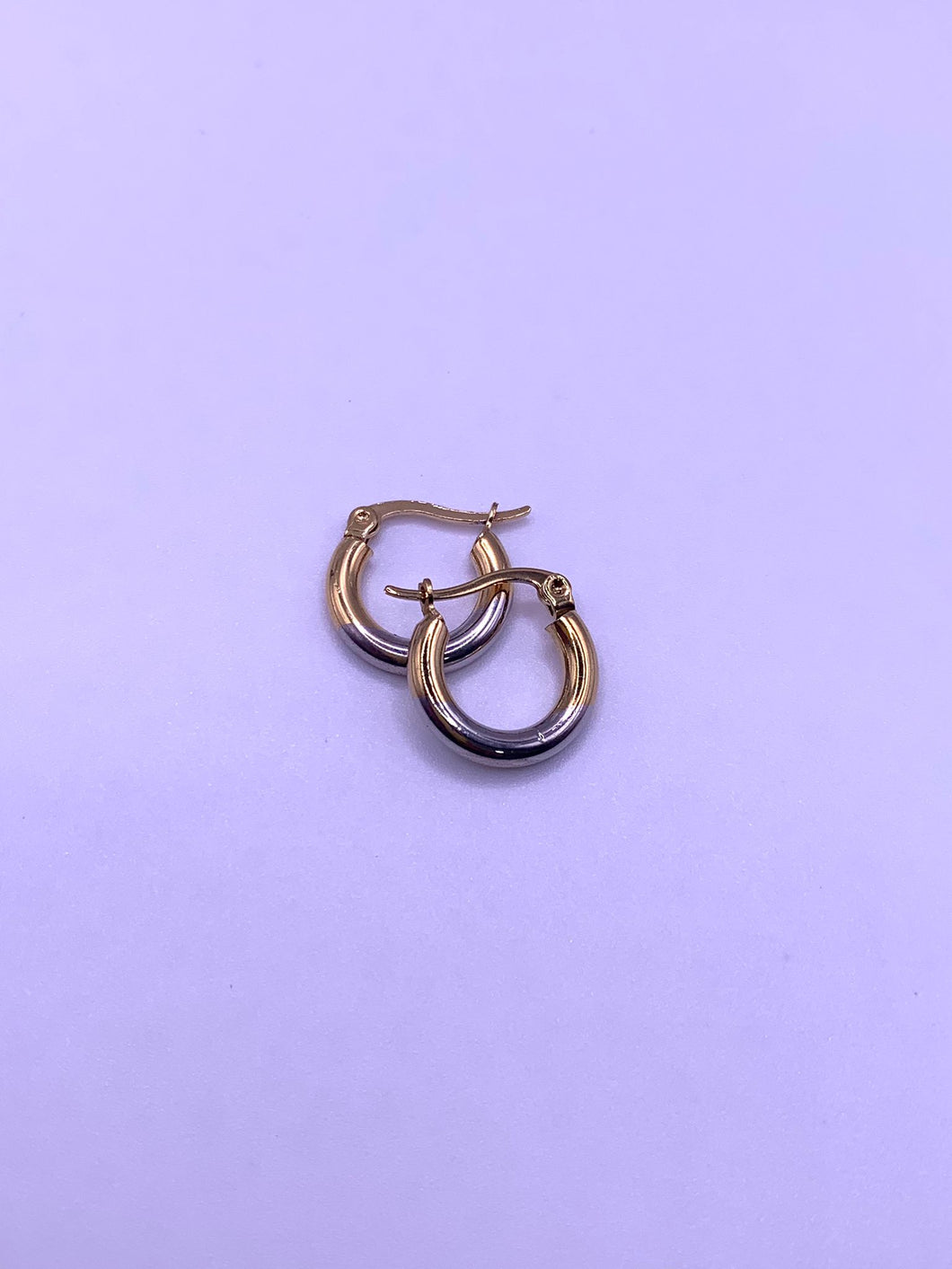 2 Tone Hoop ER