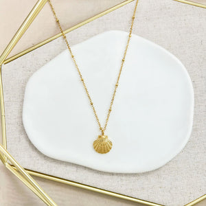 GD SEA SHELL NK